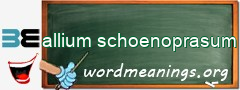 WordMeaning blackboard for allium schoenoprasum